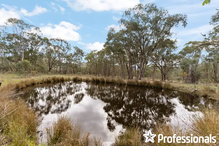 Fourth view of Homely rural property listing, 2905 Turondale Road, Turondale NSW 2795