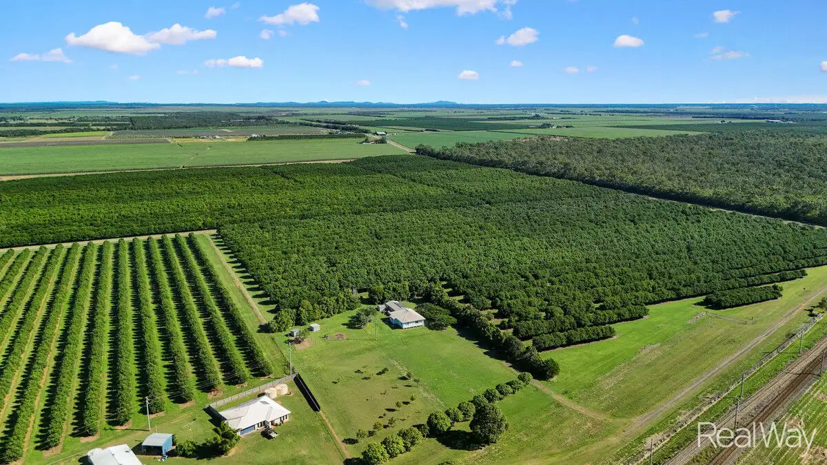 Main view of Homely house listing, 194 Woods East Road, Alloway QLD 4670