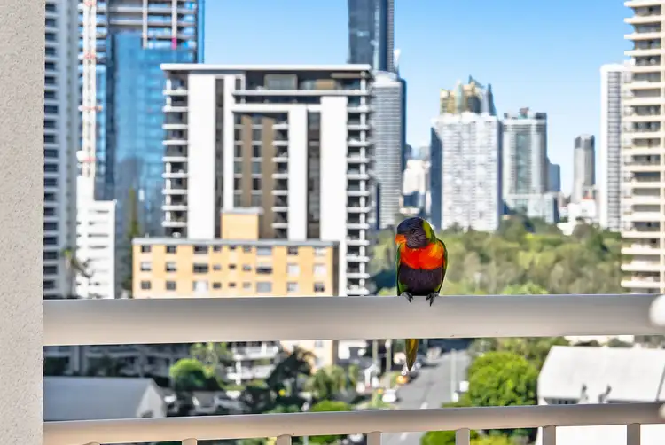 Third view of Homely apartment listing, 1001/46-52 Pacific Street, Main Beach QLD 4217