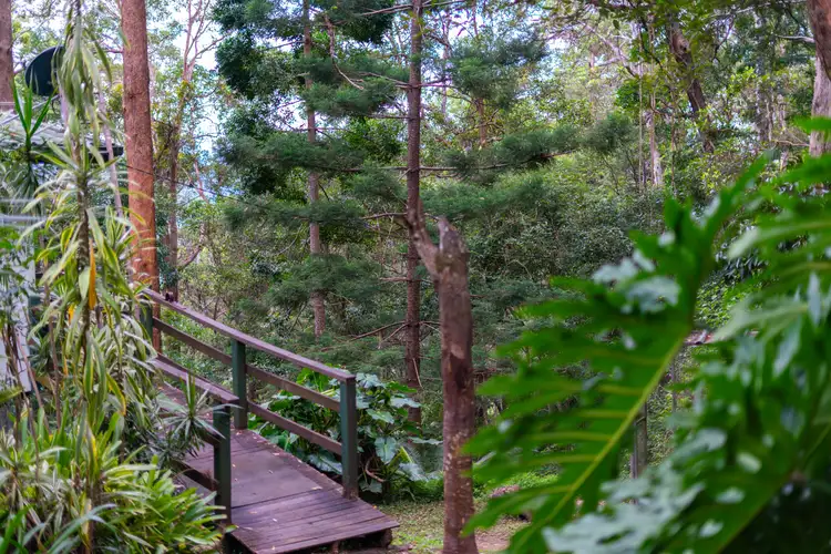 636 Palmwoods-Montville Road, Montville QLD 4560