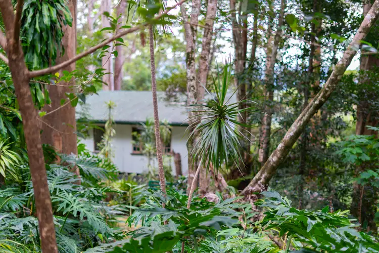 Fourth view of Homely house listing, 636 Palmwoods-Montville Road, Montville QLD 4560