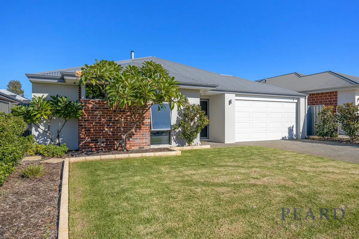 Main view of Homely house listing, 12 Bluebill Road, Banksia Grove WA 6031