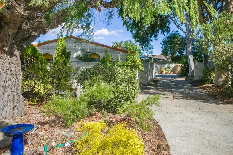 Main view of Homely house listing, 3/3 Eleanor Street, Como WA 6152
