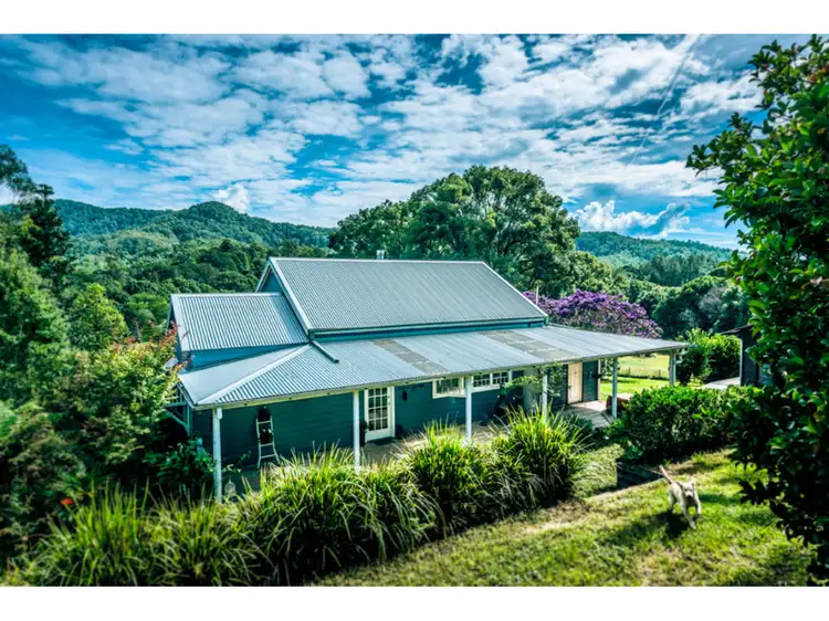1537 kalang Road, Bellingen NSW 2454