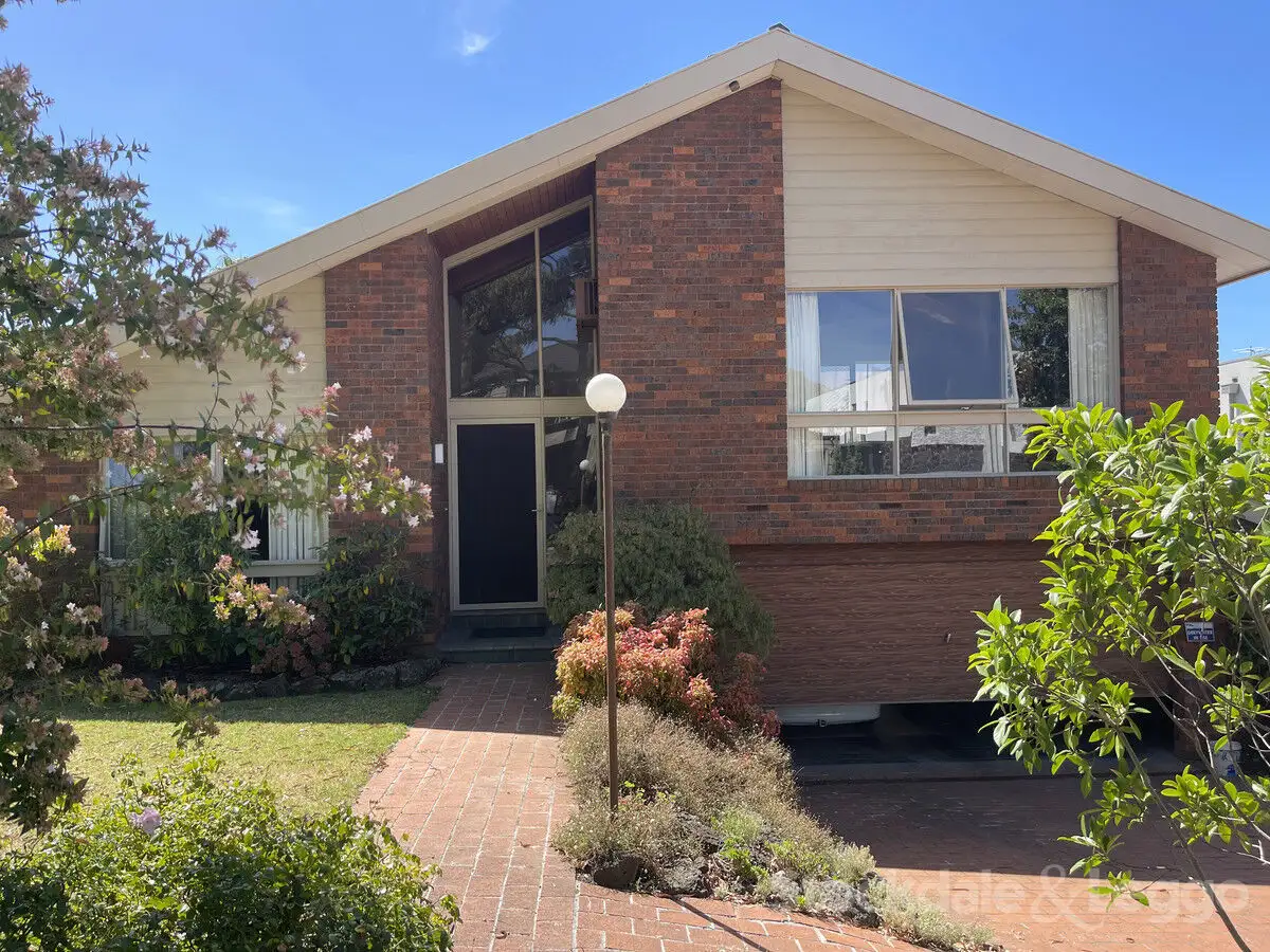 Main view of Homely house listing, 19 Ajax Drive, Wheelers Hill VIC 3150