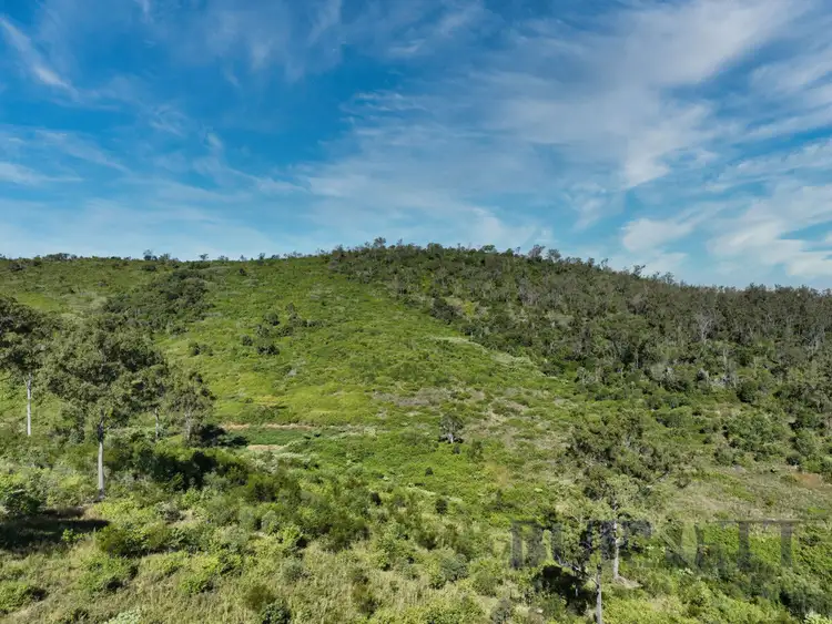 Sixth view of Homely rural property listing, 188 Fairview Creek Road, Lakeside QLD 4621