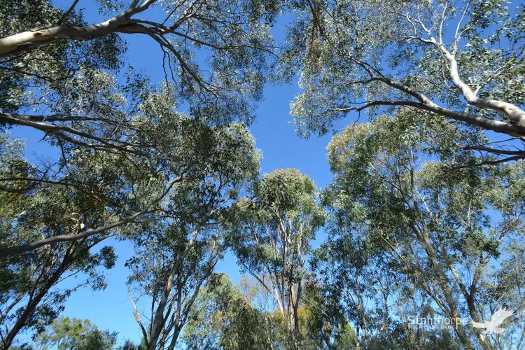 Sixth view of Homely land listing, Lots 119-120 Calvert Road, Stanthorpe QLD 4380