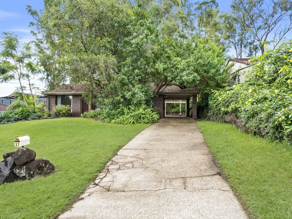 Main view of Homely house listing, 37 The Domain, Nerang QLD 4211