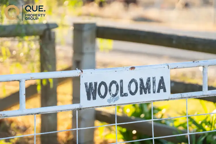 Fourth view of Homely rural property listing, 624 Dights Forest Road, Table Top NSW 2640