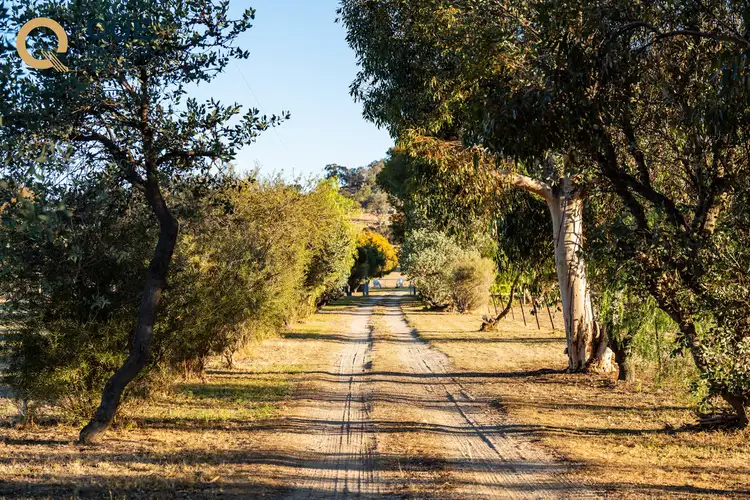 Fifth view of Homely rural property listing, 624 Dights Forest Road, Table Top NSW 2640