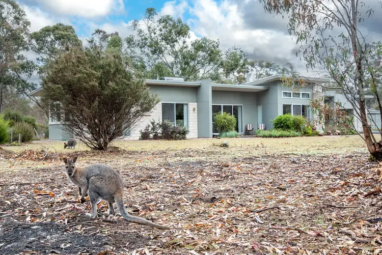 Fourth view of Homely rural property listing, 250 Hoffmanns Road, Mooralla VIC 3314