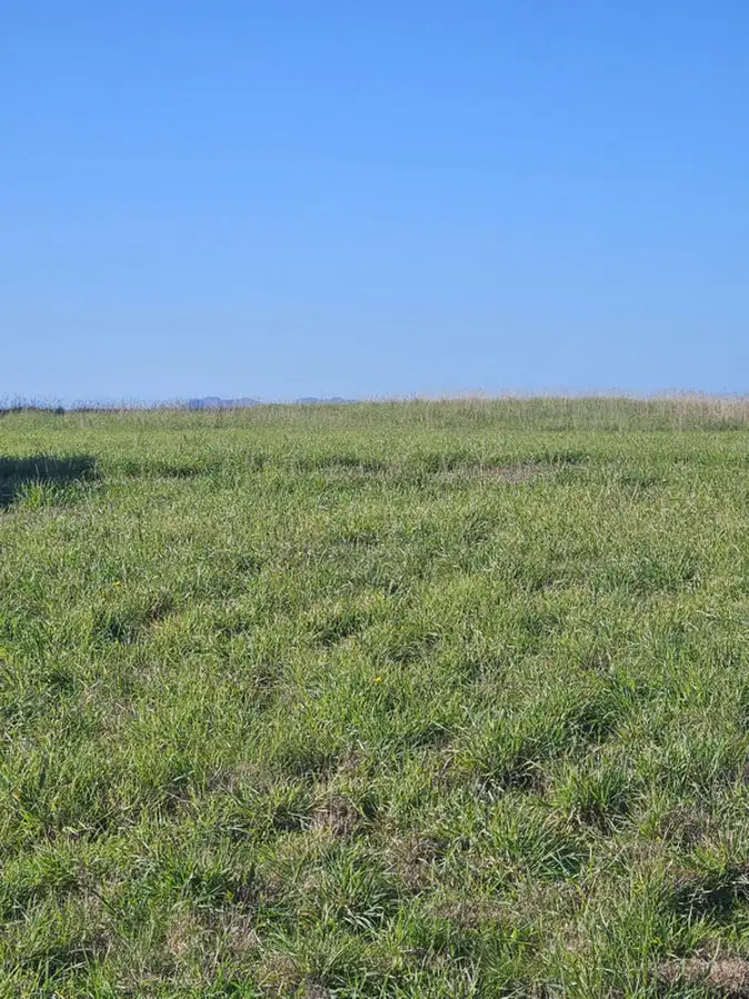 Fifth view of Homely land listing, 40 Old Spring Bay Road, Swansea TAS 7190