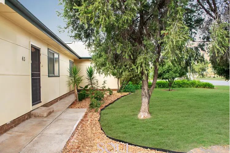 Second view of Homely house listing, 43 Dredge Street, Yenda NSW 2681