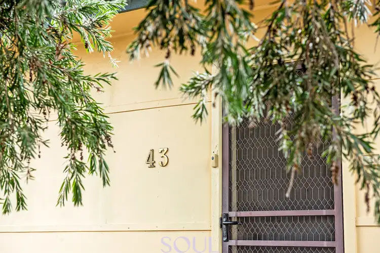 Third view of Homely house listing, 43 Dredge Street, Yenda NSW 2681