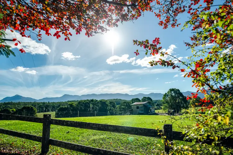 Sixth view of Homely rural property listing, 464 Hydes Creek Road, Bellingen NSW 2454
