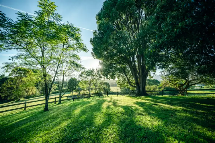 Seventh view of Homely rural property listing, 464 Hydes Creek Road, Bellingen NSW 2454