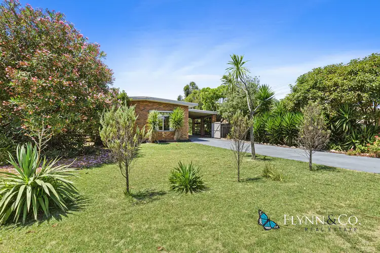 Main view of Homely house listing, 53 Potton Avenue, Rosebud VIC 3939