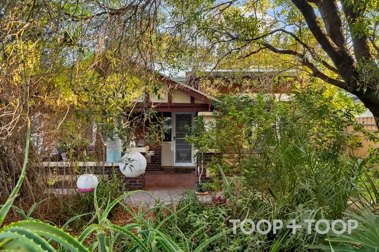56 Hurtle Street, West Croydon SA 5008