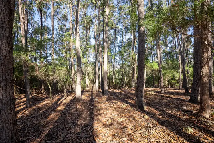 Fourth view of Homely land listing, 9 Beattie Lane, Lochiel NSW 2549