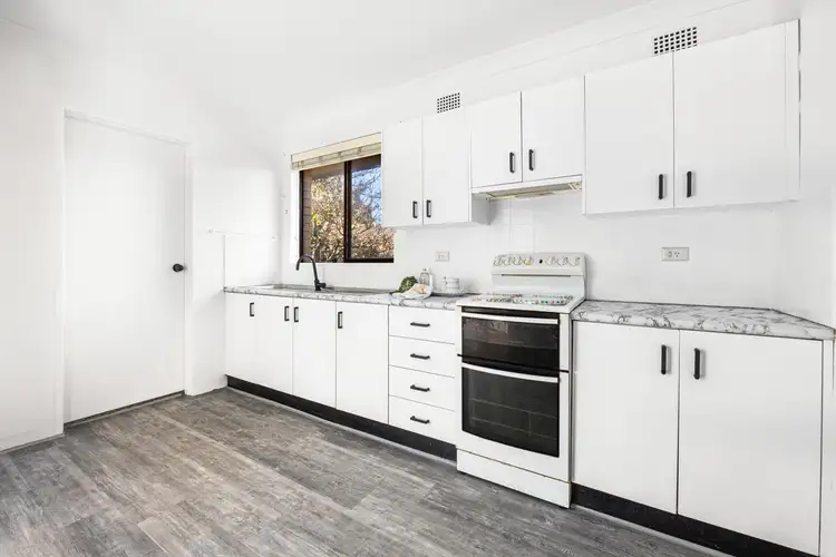 Fourth view of Homely apartment listing, 8/16 Lismore Avenue, Dee Why NSW 2099