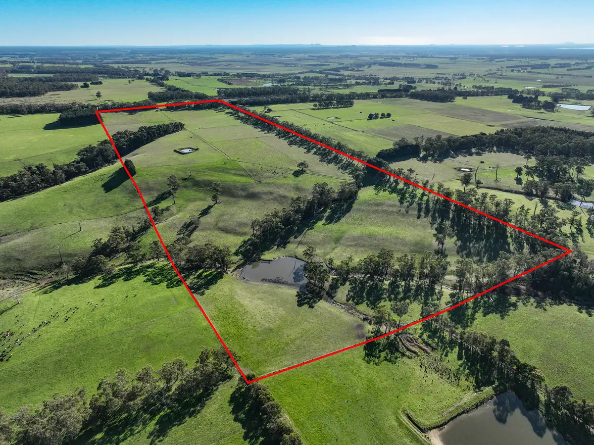 Main view of Homely rural property listing, 183 Rankins Road, Irrewillipe VIC 3249