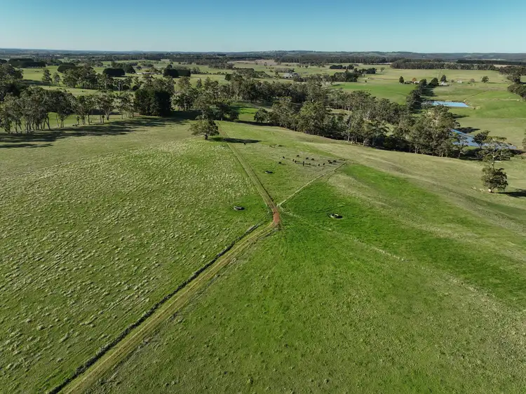 Sixth view of Homely rural property listing, 183 Rankins Road, Irrewillipe VIC 3249