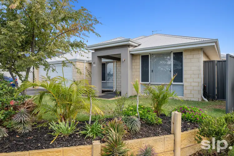 Main view of Homely house listing, 14 Riceflower Boulevard, Halls Head WA 6210
