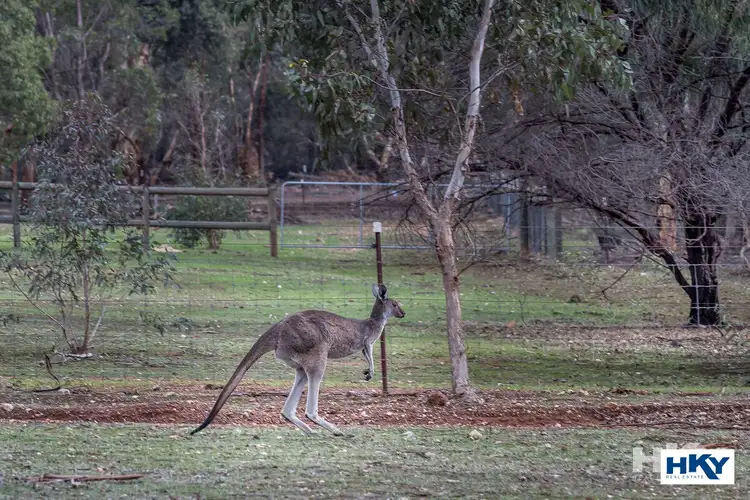 Fifth view of Homely house listing, 20 Lorikeet Court, Chittering WA 6084