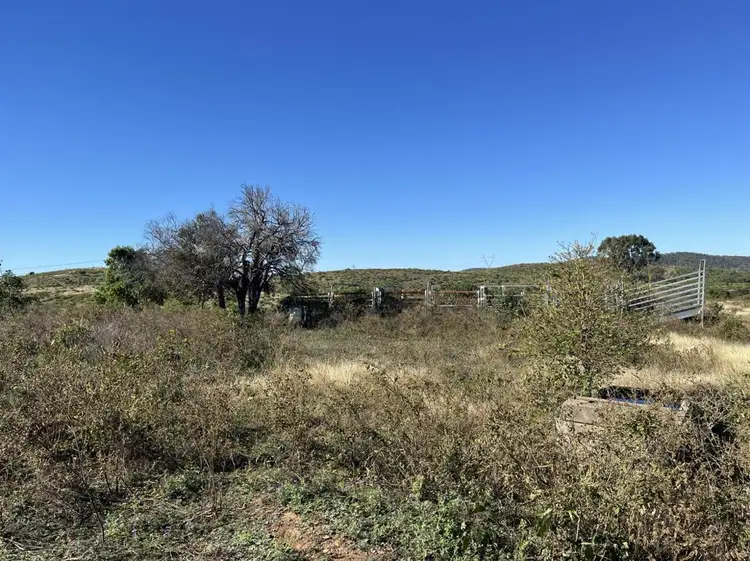 Third view of Homely rural property listing, 85 Duncan Road, Marmor QLD 4702