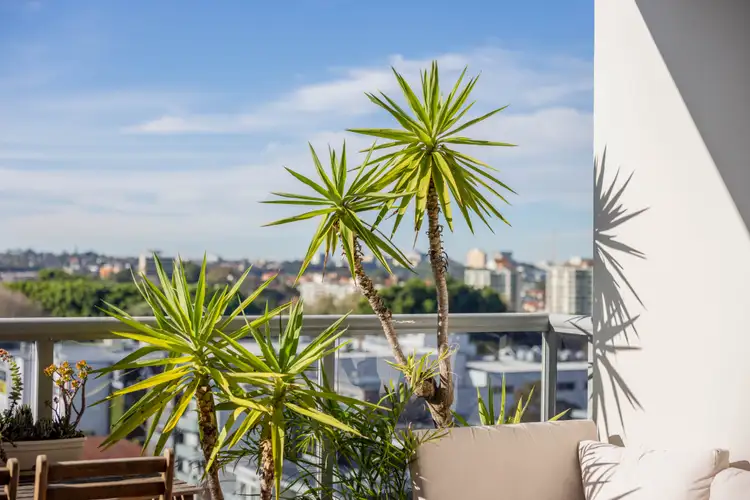 Third view of Homely apartment listing, 1504/6 Lachlan Street, Waterloo NSW 2017