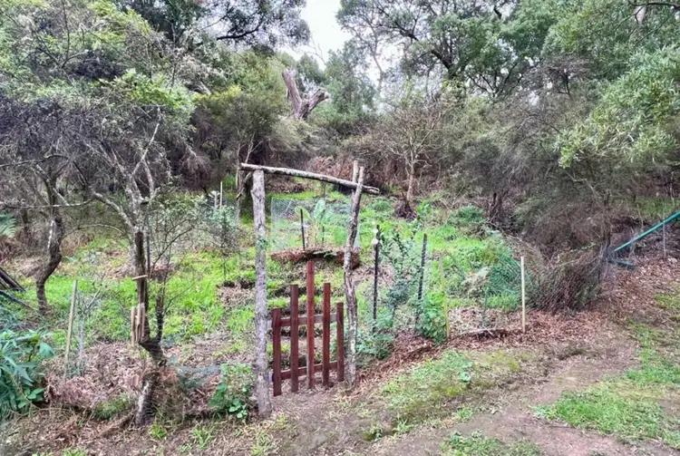 Fourth view of Homely land listing, 3210 Great Ocean Road, Glenaire VIC 3238