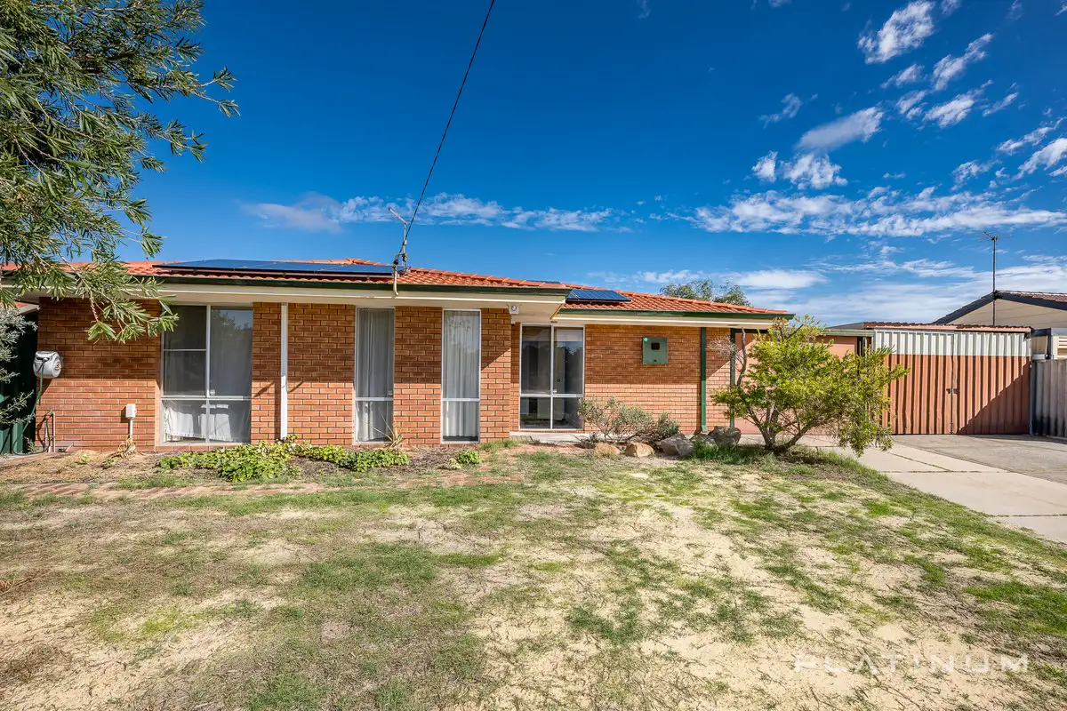 Main view of Homely house listing, 62 Warrandyte Drive, Craigie WA 6025