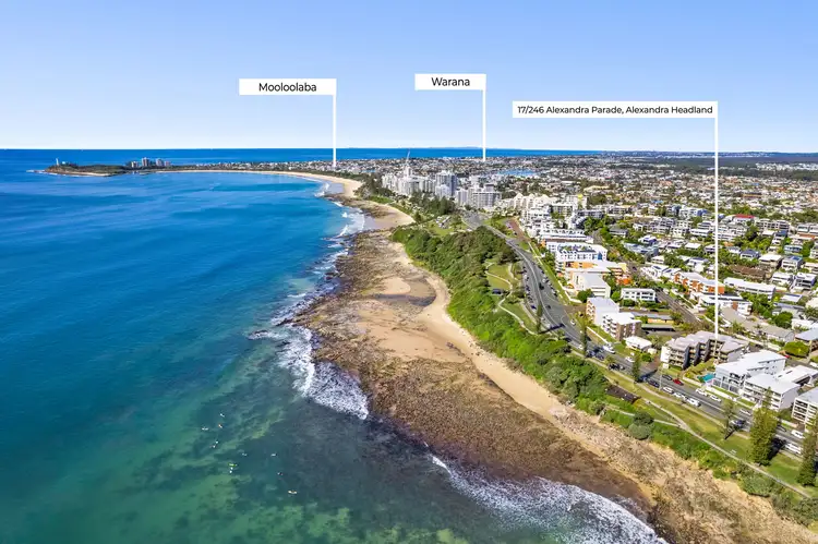 17/246 Alexandra Parade, Alexandra Headland QLD 4572
