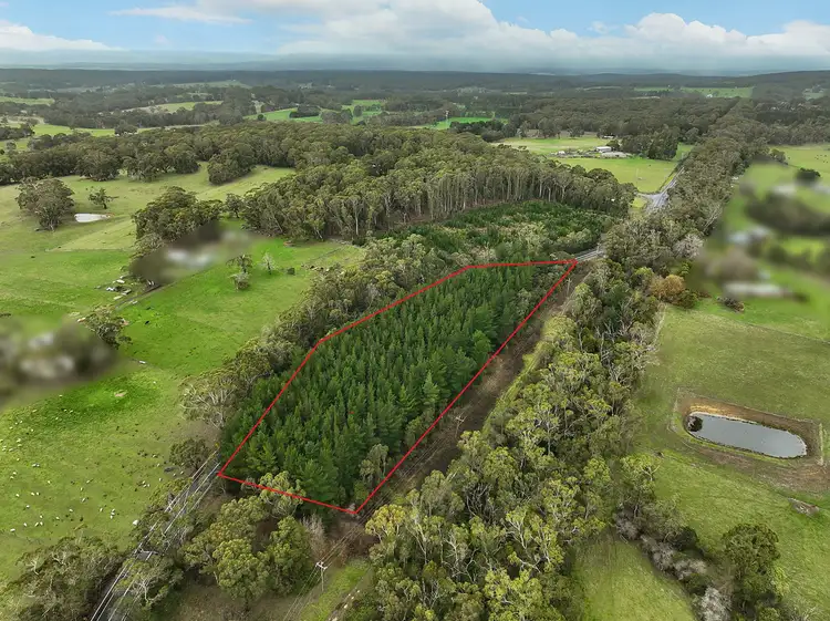 Third view of Homely rural property listing, 380 & 395 Colac-Lavers Hill Road, Barongarook VIC 3249