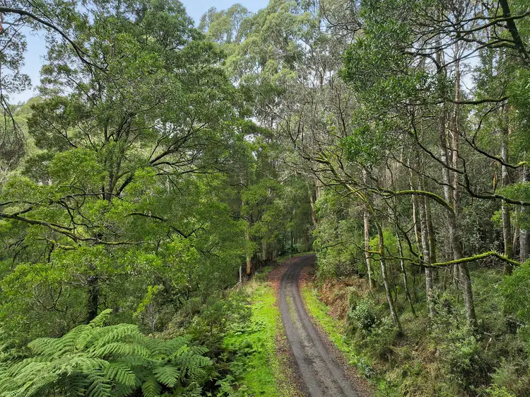 Second view of Homely rural property listing, 30 Carlisle Valley Road, Carlisle River VIC 3239