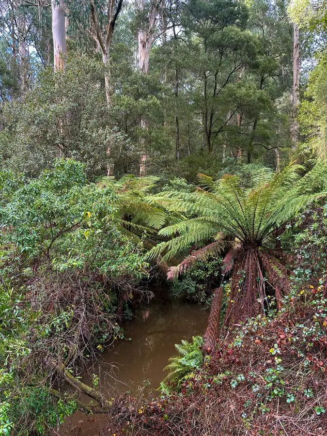 Fourth view of Homely rural property listing, 30 Carlisle Valley Road, Carlisle River VIC 3239