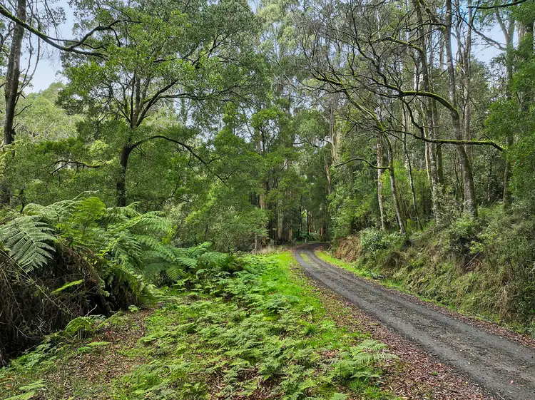 Fifth view of Homely rural property listing, 30 Carlisle Valley Road, Carlisle River VIC 3239
