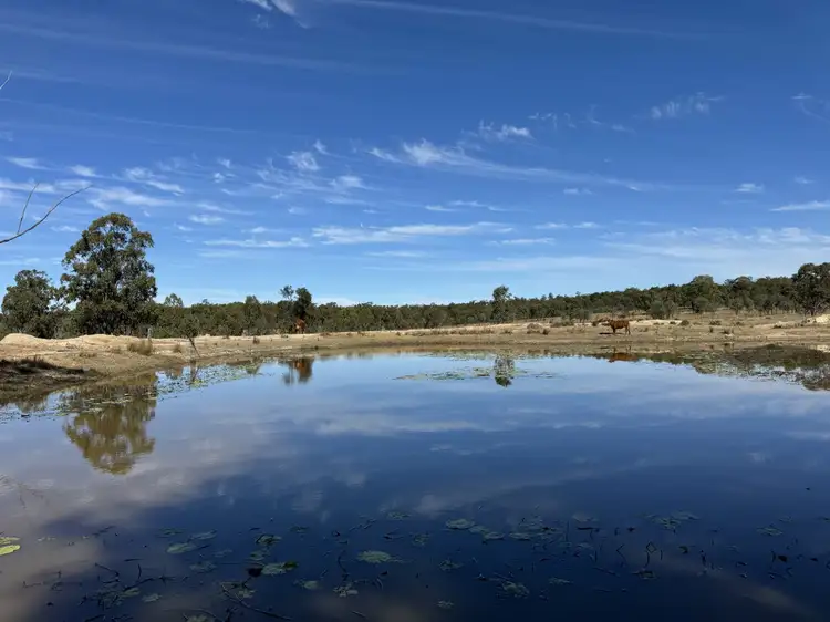 Third view of Homely rural property listing, 25731 Burnett Highway, Cynthia QLD 4627