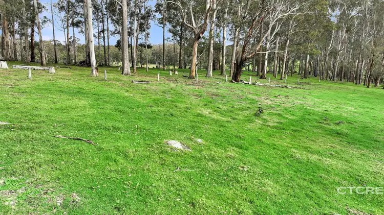734 Monaro Highway, Noorinbee VIC 3890