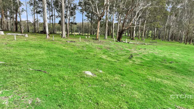 Fourth view of Homely land listing, 734 Monaro Highway, Noorinbee VIC 3890