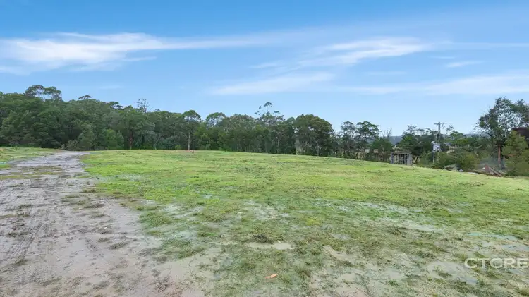 181 Tamboon Road, Cann River VIC 3890