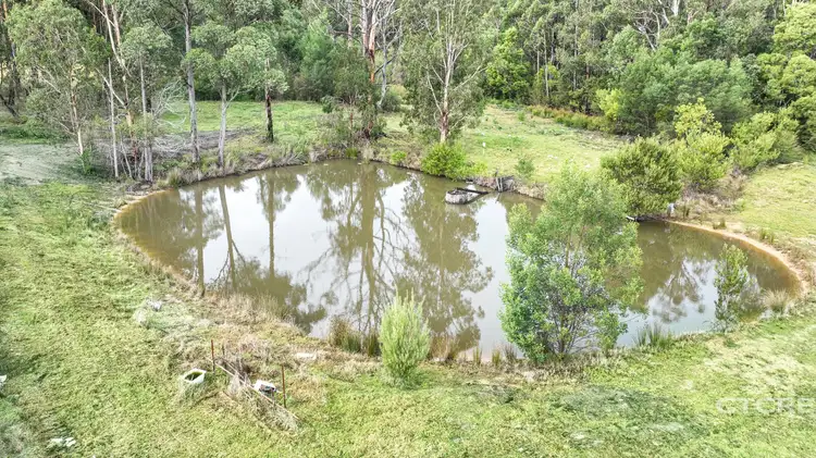 181 Tamboon Road, Cann River VIC 3890