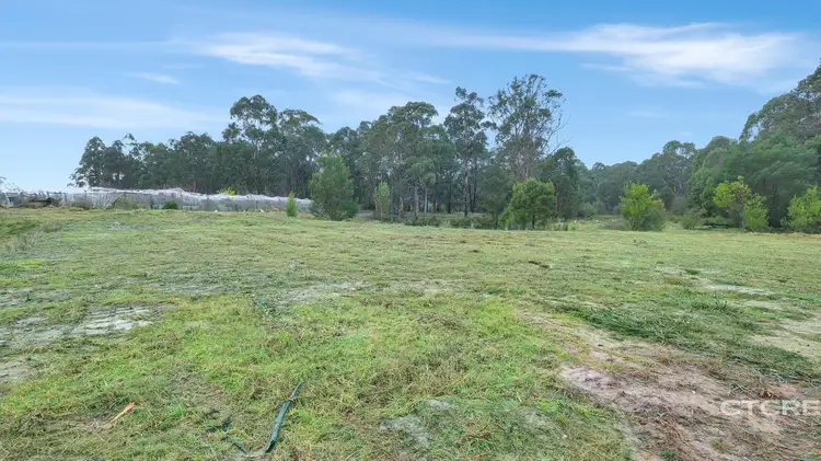 Fourth view of Homely land listing, 181 Tamboon Road, Cann River VIC 3890