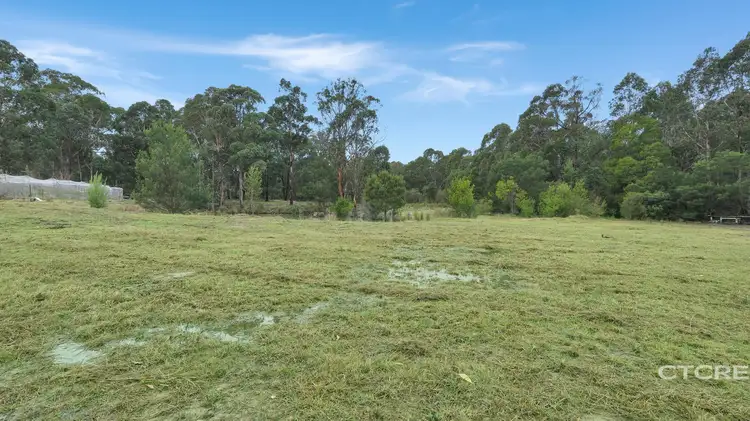 Fifth view of Homely land listing, 181 Tamboon Road, Cann River VIC 3890