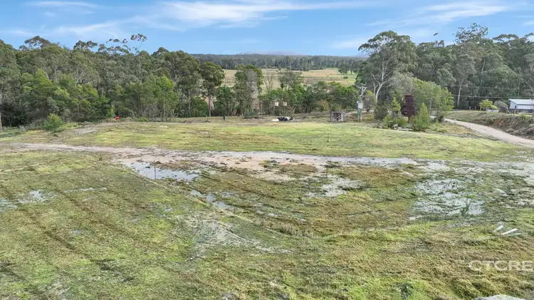 Sixth view of Homely land listing, 181 Tamboon Road, Cann River VIC 3890