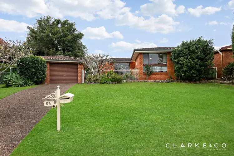 56 Crawford Avenue, Tenambit NSW 2323
