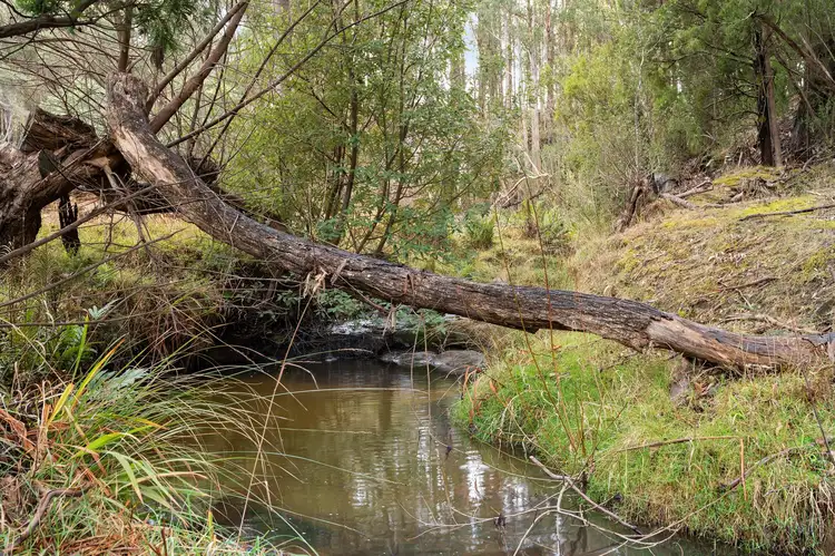 Seventh view of Homely land listing, 20 Devlyns Road, Birchs Bay TAS 7162