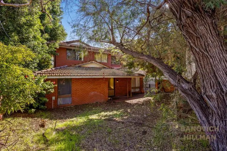 Fourth view of Homely house listing, 81 Matheson Road, Applecross WA 6153