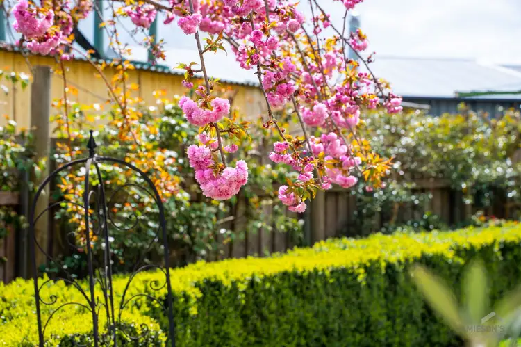Third view of Homely house listing, 31 Tower Hill Street, Deloraine TAS 7304