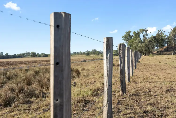 Fourth view of Homely rural property listing, 349 Boondandilla Road, Bulli Creek QLD 4357